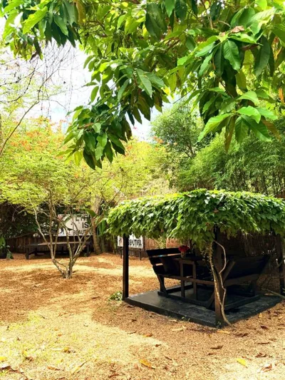 Alcove Bungalow – 照片 3