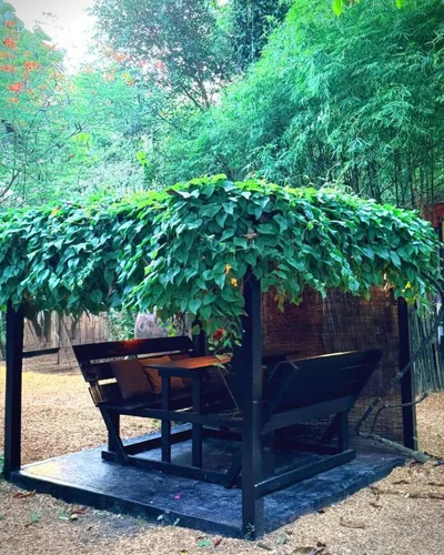 Alcove Bungalow – 照片 5