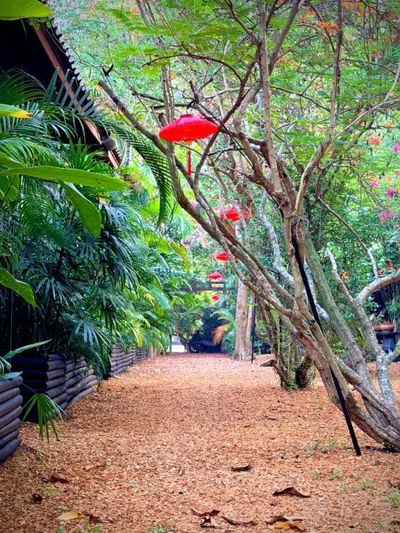 Alcove Bungalow – 照片 6