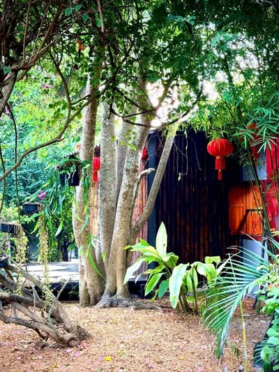 Alcove Bungalow – 照片 8
