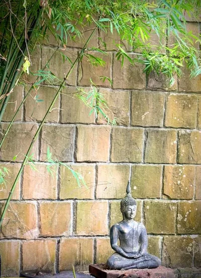 Alcove Bungalow – 照片 9