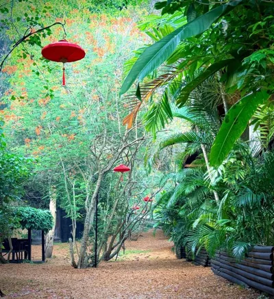 Alcove Bungalow – 照片 10