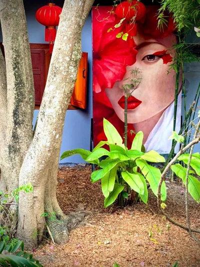 Alcove Bungalow – 照片 13