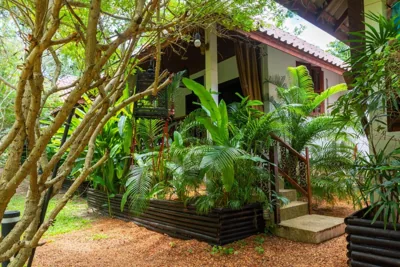 Alcove Bungalow – 照片 14
